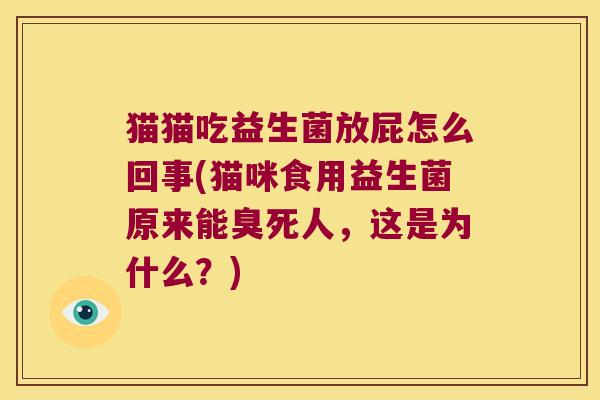 猫猫吃益生菌放屁怎么回事(猫咪食用益生菌原来能臭死人，这是为什么？)