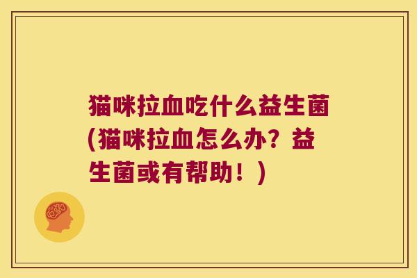 猫咪拉吃什么益生菌(猫咪拉怎么办?益生菌或有帮助!) 猫咪拉吃什么益生菌(猫咪拉怎么办?益生菌或有帮助!)