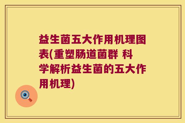益生菌五大作用机理图表(重塑肠道菌群 科学解析益生菌的五大作用机理)