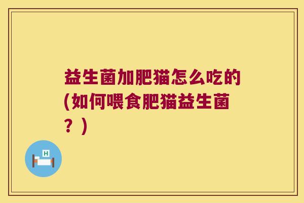 益生菌加肥猫怎么吃的(如何喂食肥猫益生菌?) 益生菌加肥猫怎么吃的(如何喂食肥猫益生菌?)