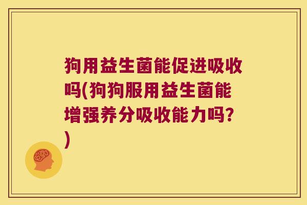 狗用益生菌能促进吸收吗(狗狗服用益生菌能增强养分吸收能力吗？)