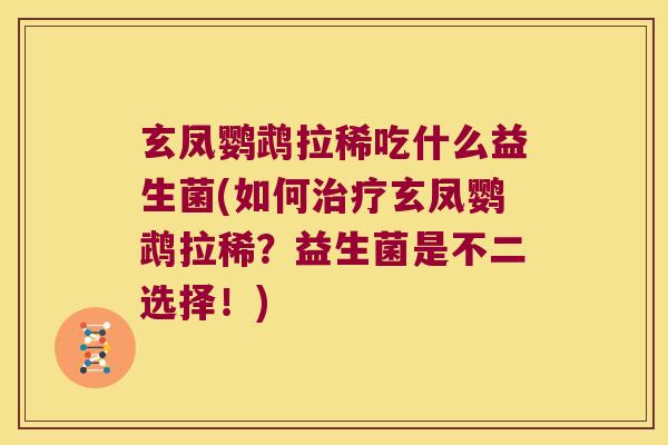 玄凤鹦鹉拉稀吃什么益生菌(如何玄凤鹦鹉拉稀?益生菌是不二选择!) 玄凤鹦鹉拉稀吃什么益生菌(如何玄凤鹦鹉拉稀?益生菌是不二选择!)