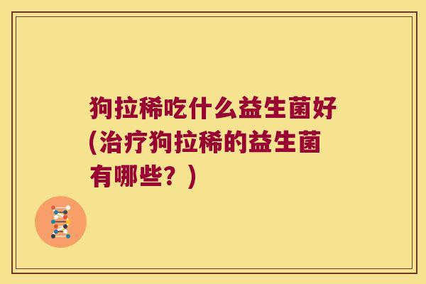 狗拉稀吃什么益生菌好(治疗狗拉稀的益生菌有哪些？)