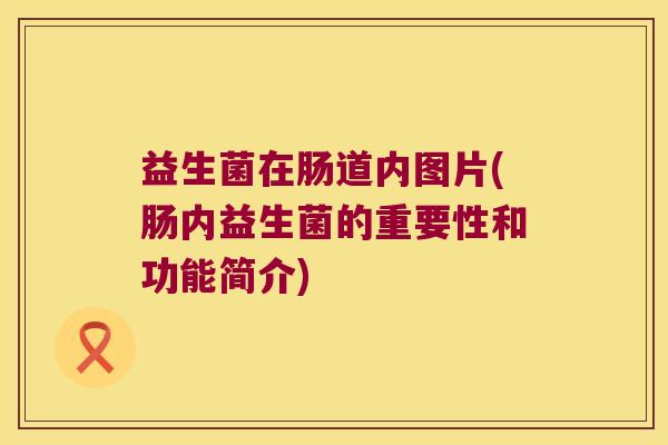 益生菌在肠道内图片(肠内益生菌的重要性和功能简介)