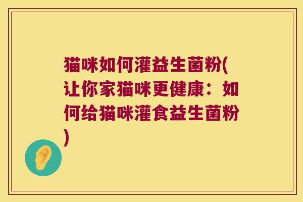 猫咪如何灌益生菌粉(让你家猫咪更健康：如何给猫咪灌食益生菌粉)