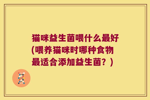 猫咪益生菌喂什么最好(喂养猫咪时哪种食物最适合添加益生菌？)