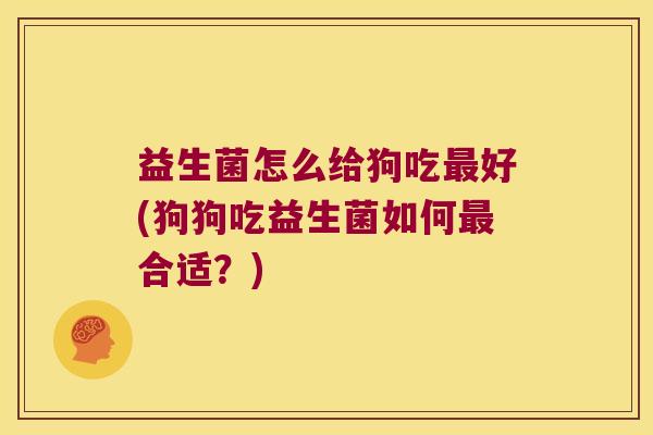 益生菌怎么给狗吃最好(狗狗吃益生菌如何最合适？)