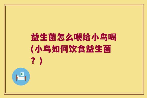 益生菌怎么喂给小鸟喝(小鸟如何饮食益生菌？)
