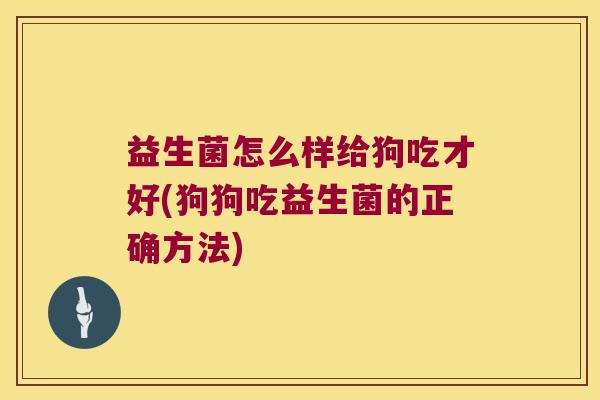 益生菌怎么样给狗吃才好(狗狗吃益生菌的正确方法)