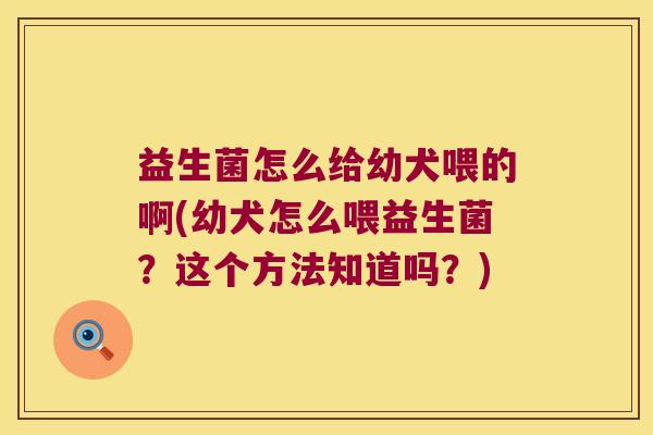 益生菌怎么给幼犬喂的啊(幼犬怎么喂益生菌？这个方法知道吗？)
