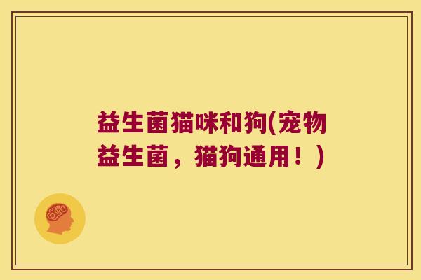 益生菌猫咪和狗(宠物益生菌，猫狗通用！)