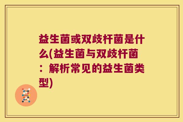 益生菌或双歧杆菌是什么(益生菌与双歧杆菌：解析常见的益生菌类型)
