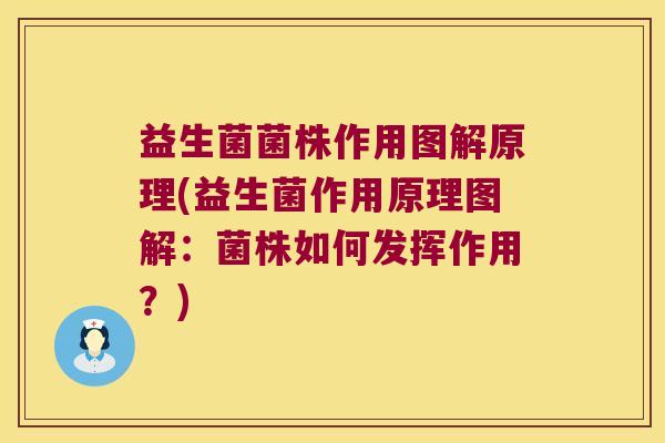 益生菌菌株作用图解原理(益生菌作用原理图解：菌株如何发挥作用？)