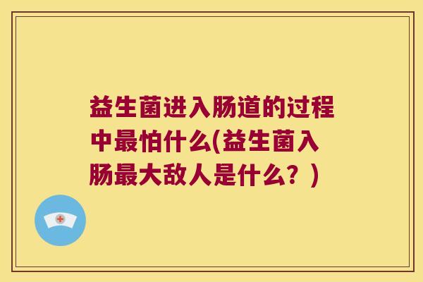 益生菌进入肠道的过程中最怕什么(益生菌入肠最大敌人是什么？)