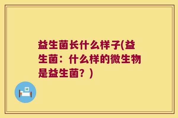 益生菌长什么样子(益生菌：什么样的微生物是益生菌？)