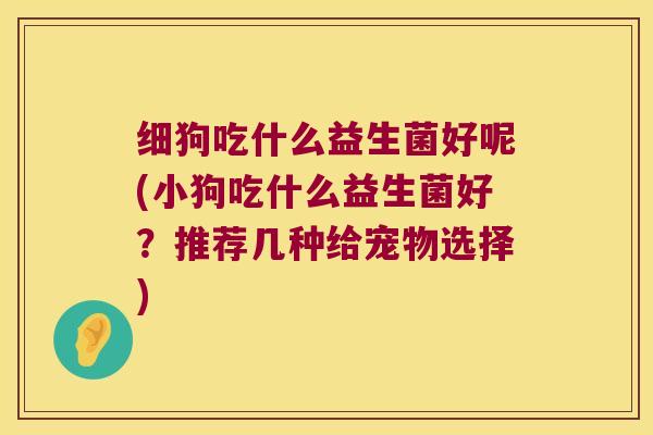 细狗吃什么益生菌好呢(小狗吃什么益生菌好?推荐几种给宠物选择) 细狗吃什么益生菌好呢(小狗吃什么益生菌好?推荐几种给宠物选择)
