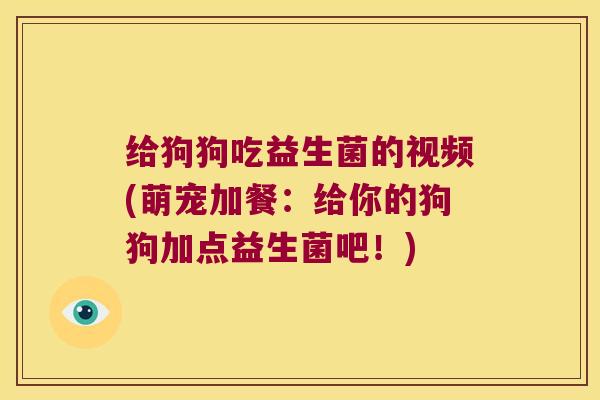 给狗狗吃益生菌的视频(萌宠加餐：给你的狗狗加点益生菌吧！)