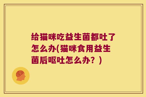 给猫咪吃益生菌都吐了怎么办(猫咪食用益生菌后怎么办?) 给猫咪吃益生菌都吐了怎么办(猫咪食用益生菌后怎么办?)