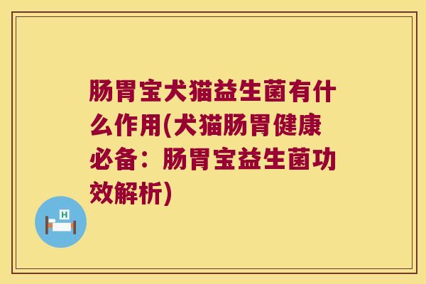 肠胃宝犬猫益生菌有什么作用(犬猫肠胃健康必备：肠胃宝益生菌功效解析)