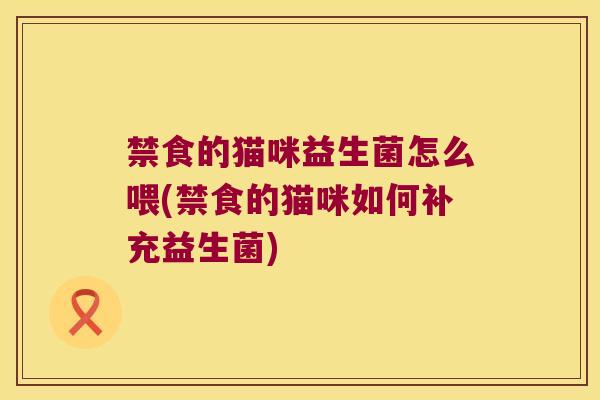 禁食的猫咪益生菌怎么喂(禁食的猫咪如何补充益生菌)
