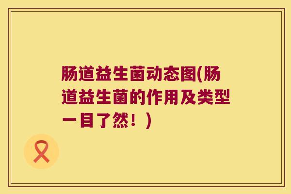 肠道益生菌动态图(肠道益生菌的作用及类型一目了然！)