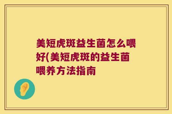 美短虎斑益生菌怎么喂好(美短虎斑的益生菌喂养方法指南