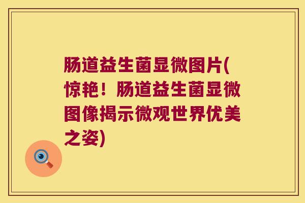 肠道益生菌显微图片(惊艳!肠道益生菌显微图像揭示微观世界优美之姿) 肠道益生菌显微图片(惊艳!肠道益生菌显微图像揭示微观世界优美之姿)