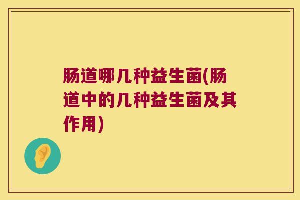 肠道哪几种益生菌(肠道中的几种益生菌及其作用)