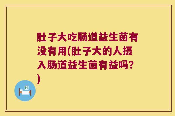 肚子大吃肠道益生菌有没有用(肚子大的人摄入肠道益生菌有益吗？)