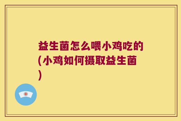 益生菌怎么喂小鸡吃的(小鸡如何摄取益生菌)