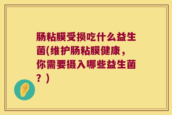 肠粘膜受损吃什么益生菌(维护肠粘膜健康，你需要摄入哪些益生菌？)