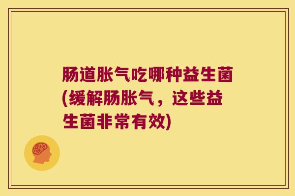 肠道胀气吃哪种益生菌(缓解肠胀气，这些益生菌非常有效)