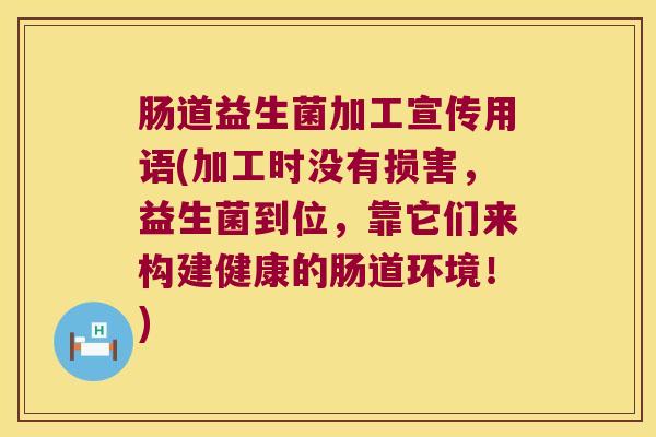 肠道益生菌加工宣传用语(加工时没有损害,益生菌到位,靠它们来构建健康的肠道环境!) 肠道益生菌加工宣传用语(加工时没有损害,益生菌到位,靠它们来构建健康的肠道环境!)