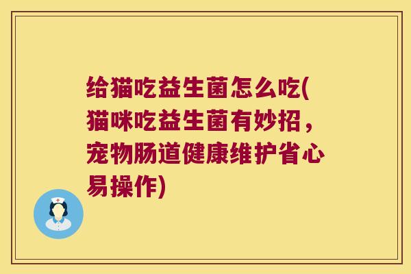 给猫吃益生菌怎么吃(猫咪吃益生菌有妙招，宠物肠道健康维护省心易操作)