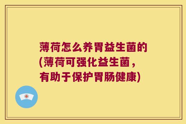 薄荷怎么养胃益生菌的(薄荷可强化益生菌，有助于保护胃肠健康)