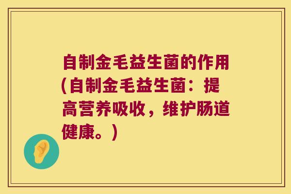 自制金毛益生菌的作用(自制金毛益生菌：提高营养吸收，维护肠道健康。)