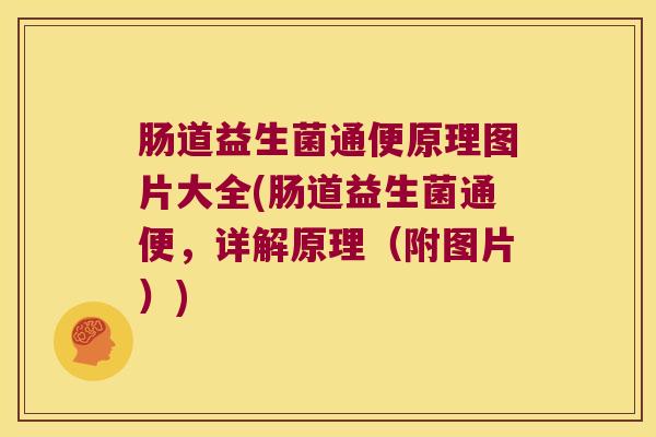 肠道益生菌通便原理图片大全(肠道益生菌通便，详解原理（附图片）)