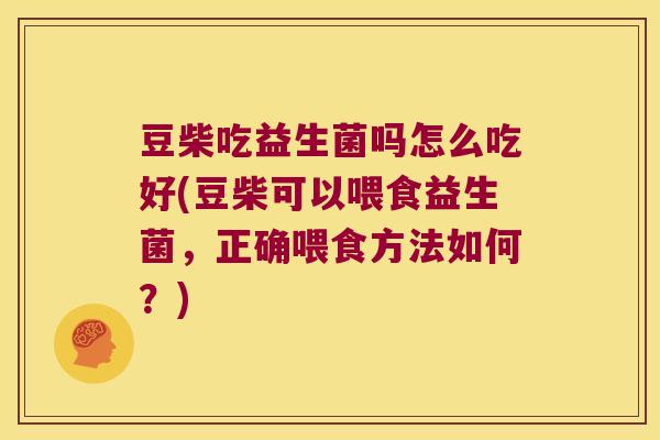 豆柴吃益生菌吗怎么吃好(豆柴可以喂食益生菌,正确喂食方法如何?) 豆柴吃益生菌吗怎么吃好(豆柴可以喂食益生菌,正确喂食方法如何?)