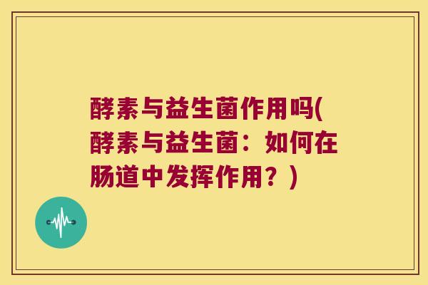 酵素与益生菌作用吗(酵素与益生菌：如何在肠道中发挥作用？)