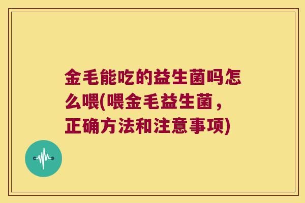 金毛能吃的益生菌吗怎么喂(喂金毛益生菌，正确方法和注意事项)