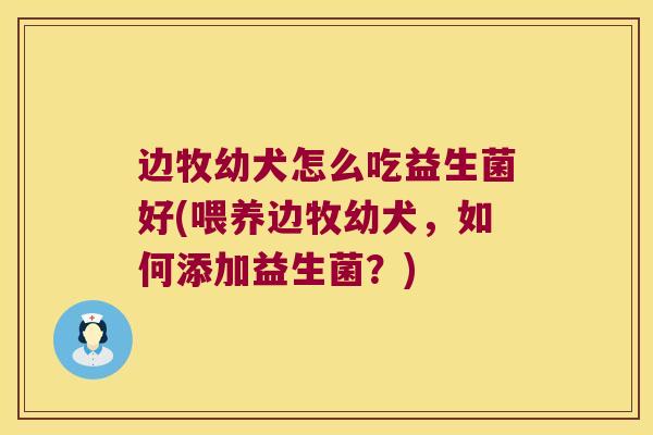 边牧幼犬怎么吃益生菌好(喂养边牧幼犬，如何添加益生菌？)