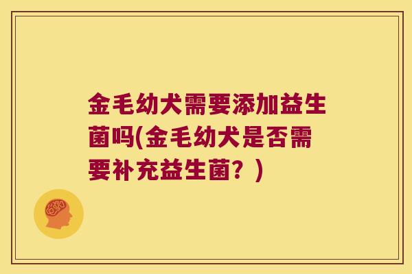 金毛幼犬需要添加益生菌吗(金毛幼犬是否需要补充益生菌？)