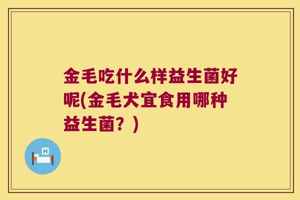 金毛吃什么样益生菌好呢(金毛犬宜食用哪种益生菌？)