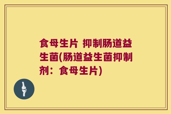 食母生片 抑制肠道益生菌(肠道益生菌抑制剂：食母生片)