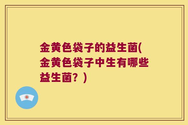 金黄色袋子的益生菌(金黄色袋子中生有哪些益生菌？)