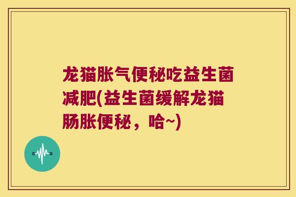 龙猫吃益生菌(益生菌缓解龙猫肠胀,哈~) 龙猫吃益生菌(益生菌缓解龙猫肠胀,哈~)