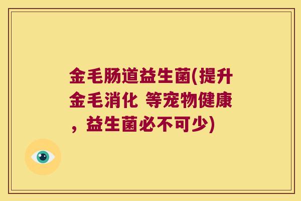 金毛肠道益生菌(提升金毛消化 等宠物健康，益生菌必不可少)