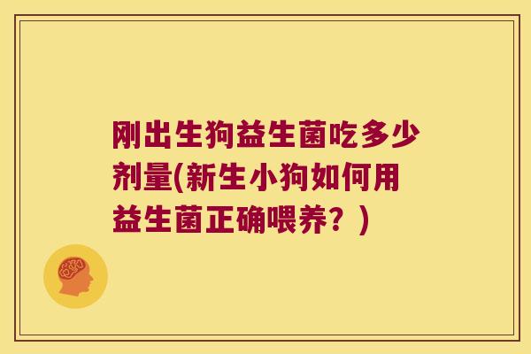 刚出生狗益生菌吃多少剂量(新生小狗如何用益生菌正确喂养？)