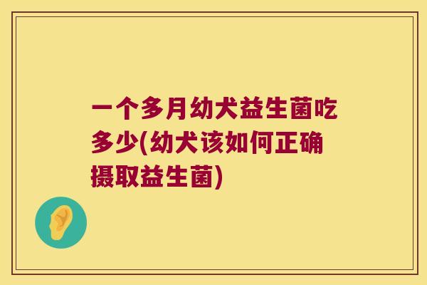 一个多月幼犬益生菌吃多少(幼犬该如何正确摄取益生菌)
