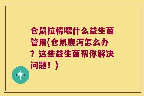 仓鼠拉稀喂什么益生菌管用(仓鼠腹泻怎么办？这些益生菌帮你解决问题！)